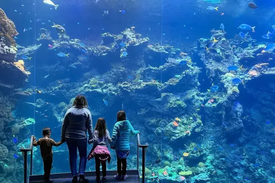 Famiglia con Acquario della Baia